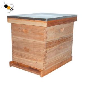 Tenemos que cuidar de las abejas