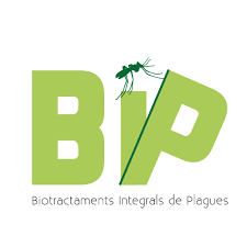 Giroplagues